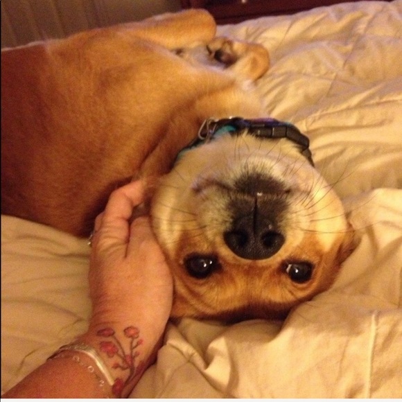 R.I.P. Junebug 😭 01/28/21 - Picture 9 of 16